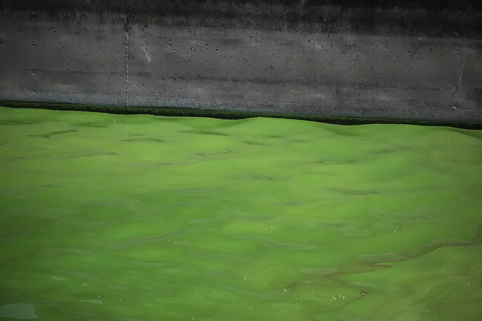 Wyoming Department of Health Warns of ‘Harmful Algae Blooms’ in Pathfinder Reservoir