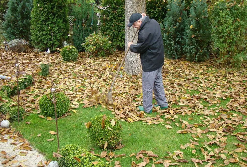 Casper Collects Residents’ Bagged Leaves in November