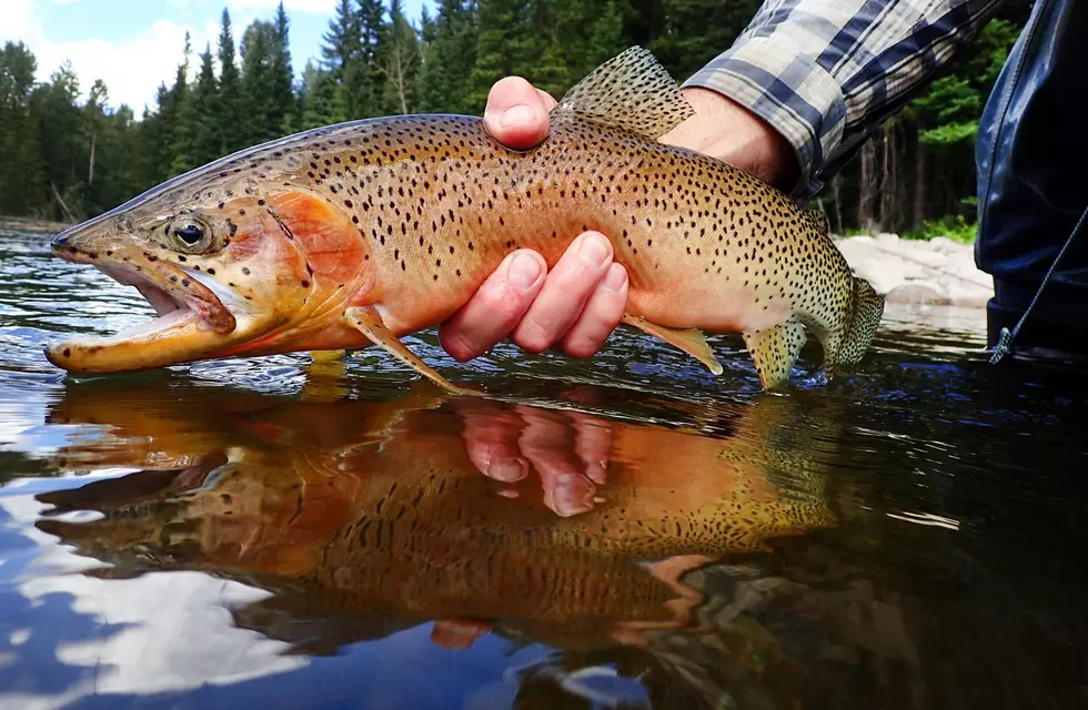 Wyoming Announces Initiative to Bring More Hunting, Fishing, and Conservation Curriculum to Schools