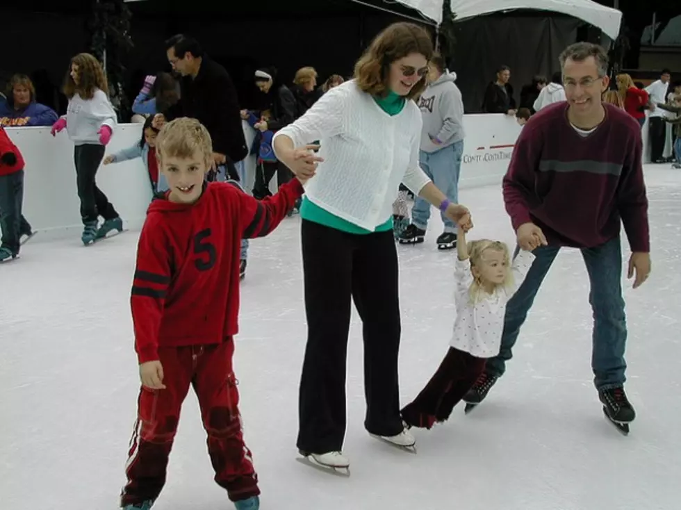 Public Skating Canceled for Skating Association Show