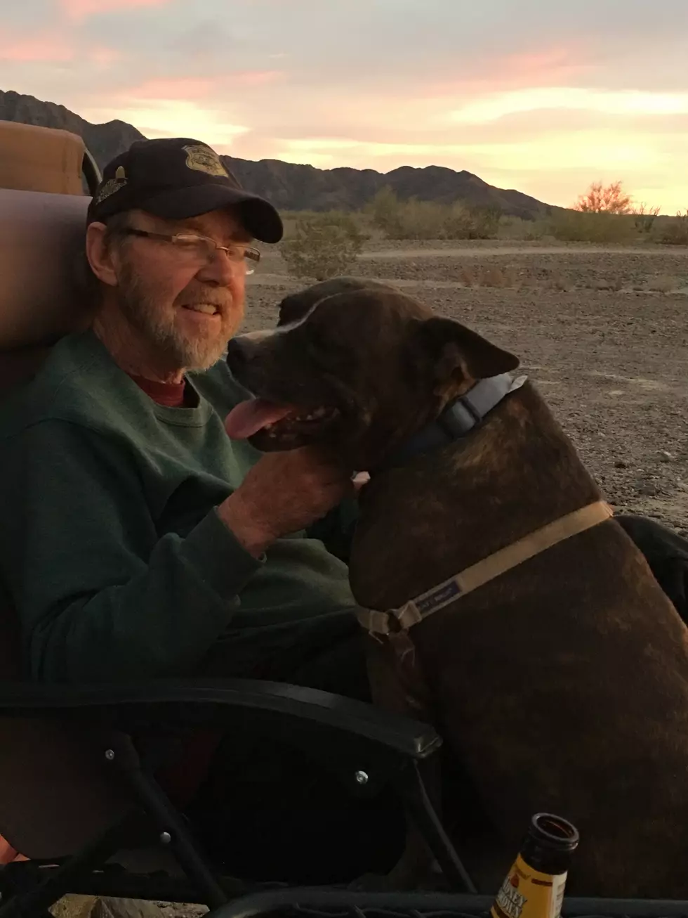 Meet Boogy, a Boxer / French Bulldog mix in need of a new home.