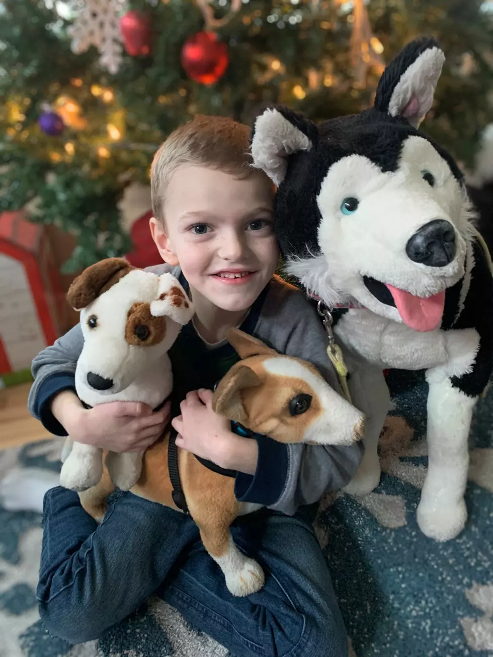 Service Dog Could Change The Life Of Casper Boy Born With Rare Disease