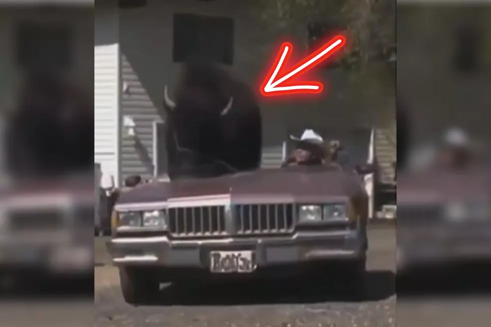 VIDEO Show’s The Best Way To Use A Convertible In Wyoming