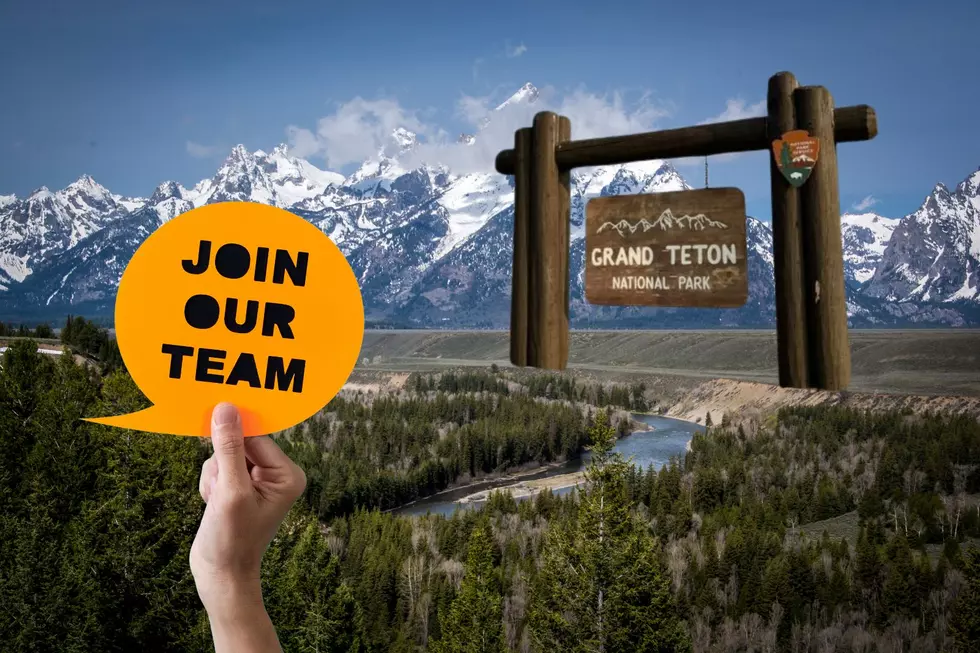 One Of Wyoming’s Beautiful National Parks Needs Your Help