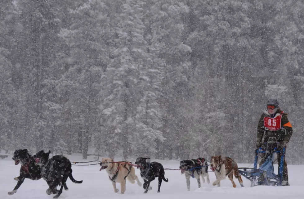 Checkout the Casper Mountain Sled Dog Races on Jan. 27 & 28th, 2018
