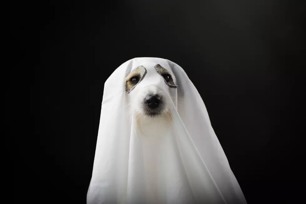 5 Clues Your House Is Haunted